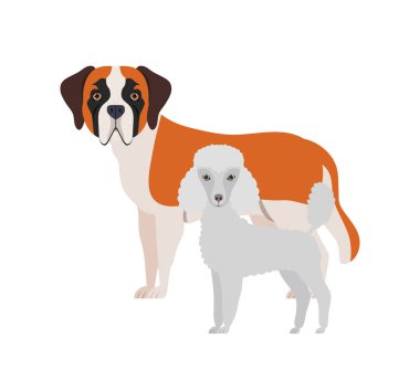 beyaz arka planda sevimli ve sevimli köpekler