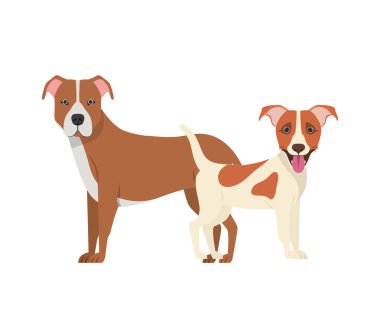 beyaz arka planda sevimli ve sevimli köpekler