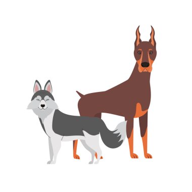 beyaz arka planda sevimli ve sevimli köpekler