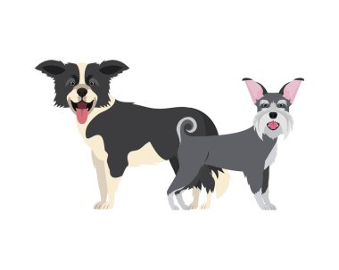 beyaz arka planda sevimli ve sevimli köpekler