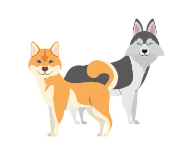 beyaz arka planda sevimli ve sevimli köpekler