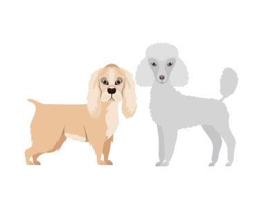 beyaz arka planda sevimli ve sevimli köpekler