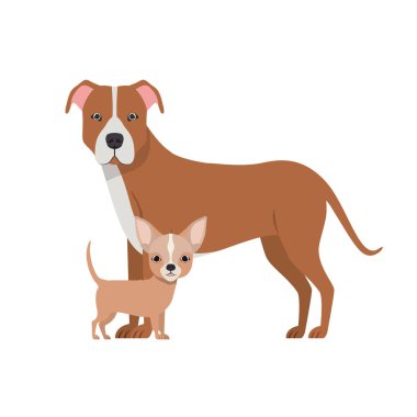 beyaz arka planda sevimli ve sevimli köpekler