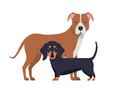 beyaz arka planda sevimli ve sevimli köpekler