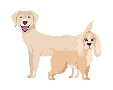 beyaz arka planda sevimli ve sevimli köpekler