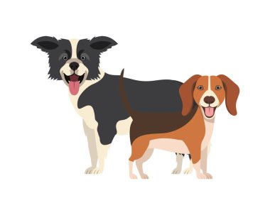beyaz arka planda sevimli ve sevimli köpekler