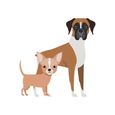 beyaz arka planda sevimli ve sevimli köpekler