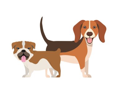 beyaz arka planda sevimli ve sevimli köpekler