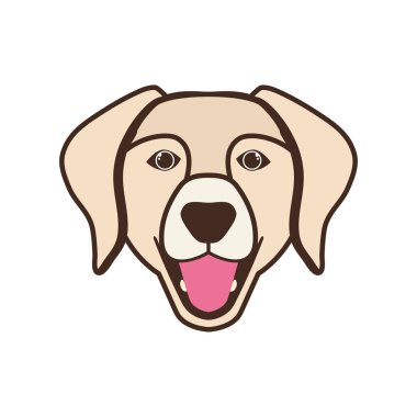 beyaz arka plan üzerinde sevimli labrador retriever köpek başkanı