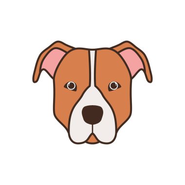 beyaz arka plan üzerinde sevimli pitbull köpek