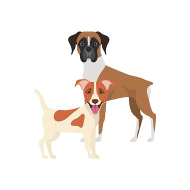 beyaz arka planda sevimli ve sevimli köpekler