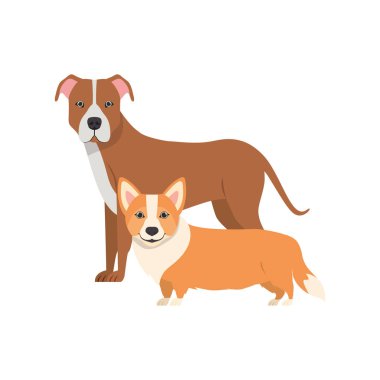 beyaz arka planda sevimli ve sevimli köpekler