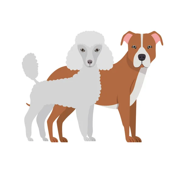 Beyaz arka planda sevimli ve sevimli köpekler — Stok Vektör