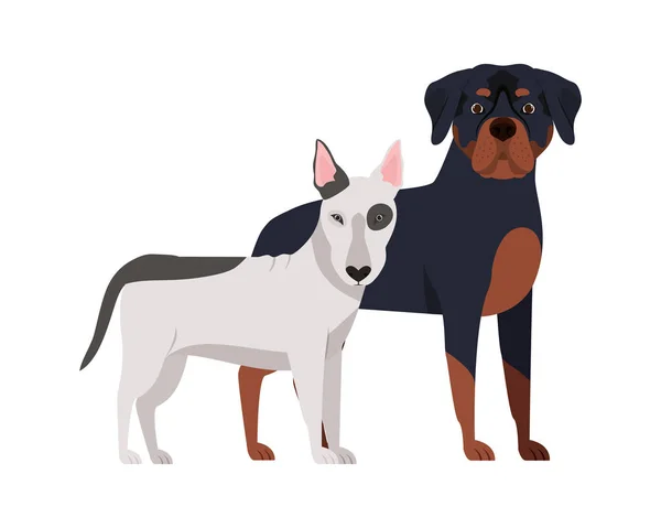 Beyaz arka planda sevimli ve sevimli köpekler — Stok Vektör