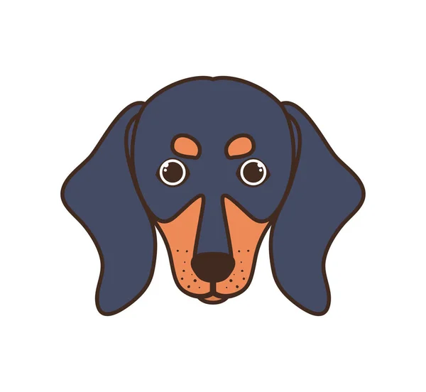 Cabeza de lindo perro salchicha sobre fondo blanco — Vector de stock