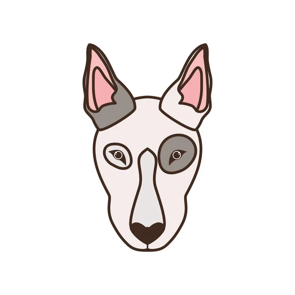 Głowa cute bull terrier psa na białym tle — Wektor stockowy