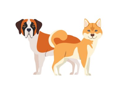 beyaz arka planda sevimli ve sevimli köpekler