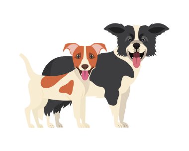 beyaz arka planda sevimli ve sevimli köpekler