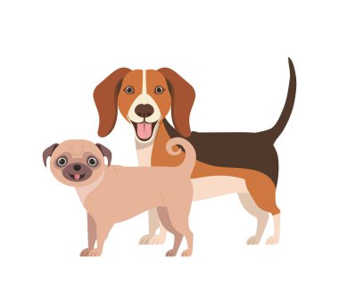 beyaz arka planda sevimli ve sevimli köpekler