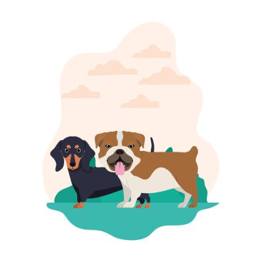 beyaz arka planda sevimli ve sevimli köpekler