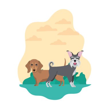 beyaz arka planda sevimli ve sevimli köpekler