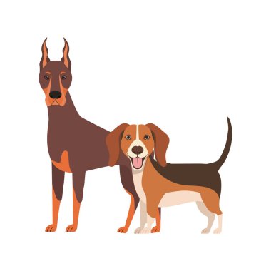 beyaz arka planda sevimli ve sevimli köpekler