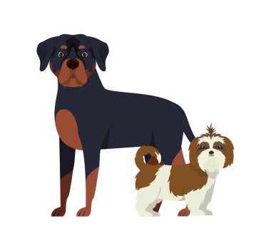 beyaz arka planda sevimli ve sevimli köpekler