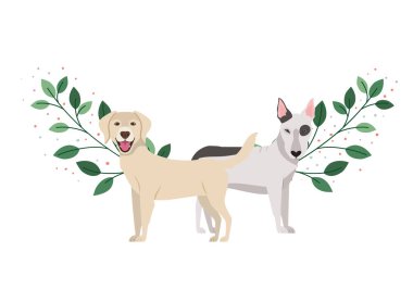 beyaz arka planda sevimli ve sevimli köpekler