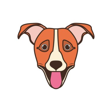 beyaz arka plan üzerinde sevimli jack russell rerrier köpek başkanı