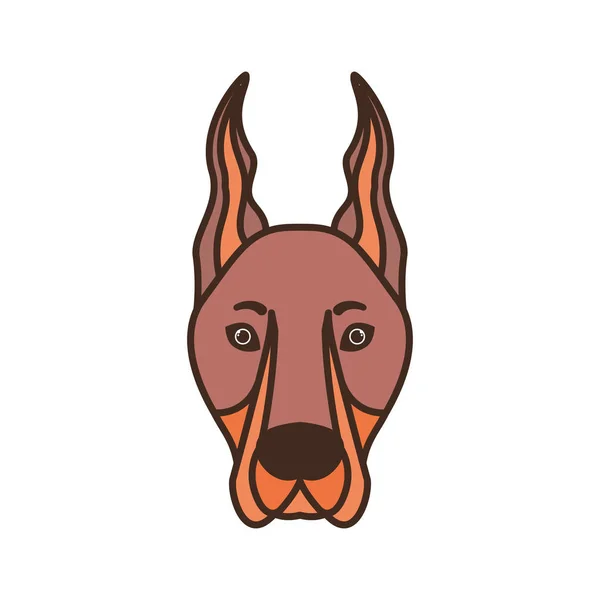 白い背景にかわいいドーベルマン犬の頭 — ストックベクタ
