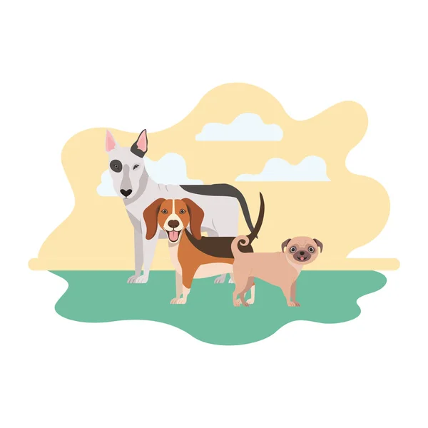 Beyaz arka plan üzerinde sevimli köpeklerin seti — Stok Vektör