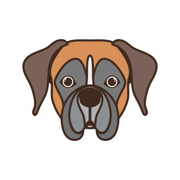 Head of cute boxer dog on white background — Stock Vector
