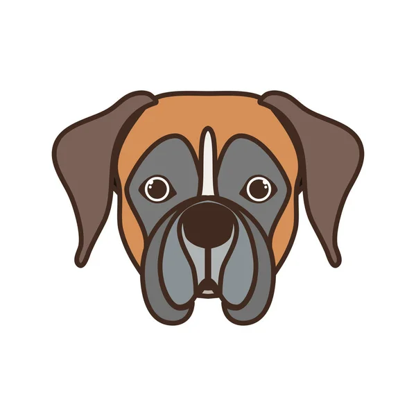 Cabeza de lindo perro boxeador sobre fondo blanco — Vector de stock