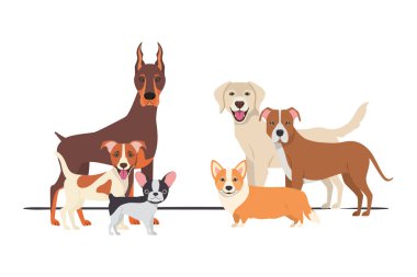 beyaz arka plan üzerinde sevimli köpeklerin seti