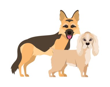 beyaz arka planda sevimli ve sevimli köpekler