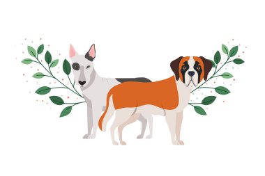 beyaz arka planda sevimli ve sevimli köpekler