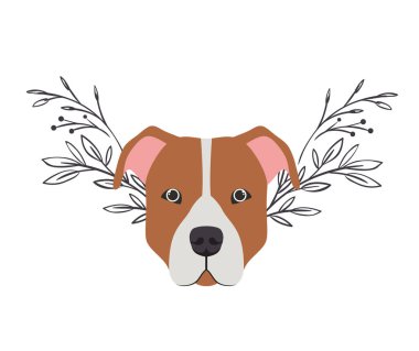 beyaz arka plan üzerinde sevimli pitbull köpek