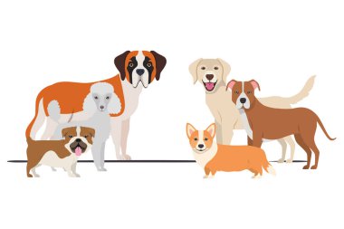 beyaz arka plan üzerinde sevimli köpeklerin seti