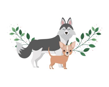 beyaz arka planda sevimli ve sevimli köpekler