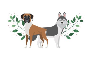 beyaz arka planda sevimli ve sevimli köpekler