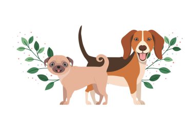 beyaz arka planda sevimli ve sevimli köpekler