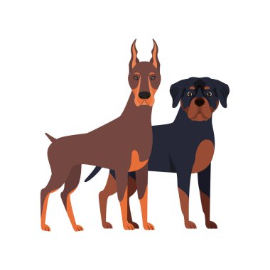 beyaz arka planda sevimli ve sevimli köpekler