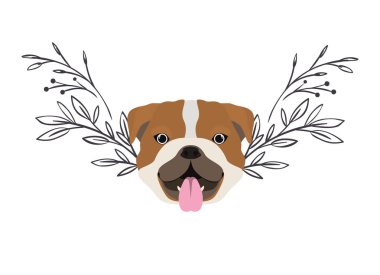 beyaz arka plan üzerinde sevimli bulldog ingles köpek başkanı