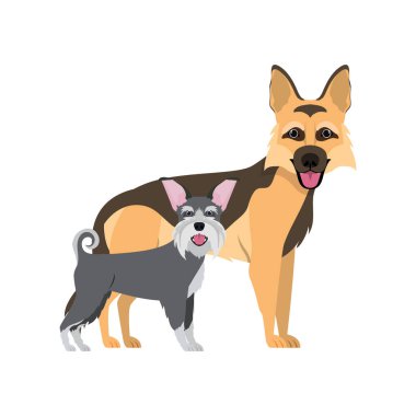 beyaz arka planda sevimli ve sevimli köpekler