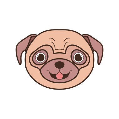 beyaz arka plan üzerinde sevimli pug köpek başı