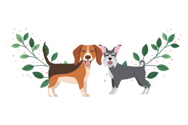 beyaz arka planda sevimli ve sevimli köpekler