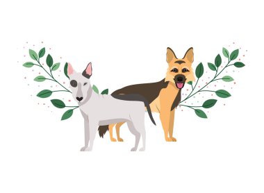 beyaz arka planda sevimli ve sevimli köpekler