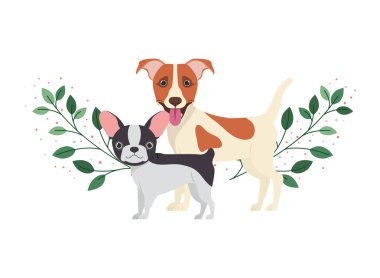 beyaz arka planda sevimli ve sevimli köpekler