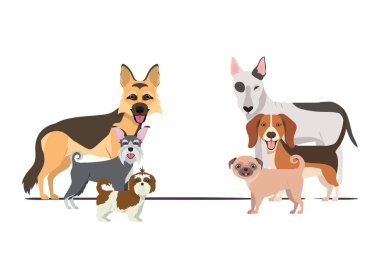 beyaz arka plan üzerinde sevimli köpeklerin seti