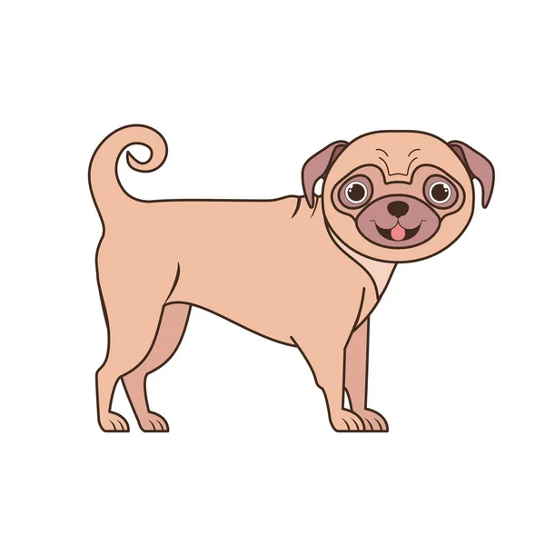 Chien Pug mignon sur fond blanc — Image vectorielle